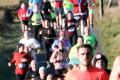 Greencastle 5&nbsp;Mile Road Race marks 40th anniversary