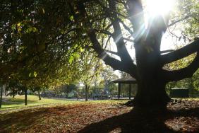 GALLERY: Stunning Autumnal scenes captured through the lens!