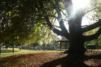 GALLERY: Stunning Autumnal scenes captured through the lens!