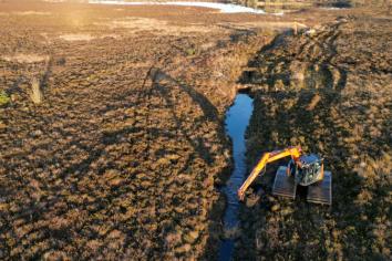 Exciting ancient discovery as Mountjoy pupils visit restored peatlands near Omagh