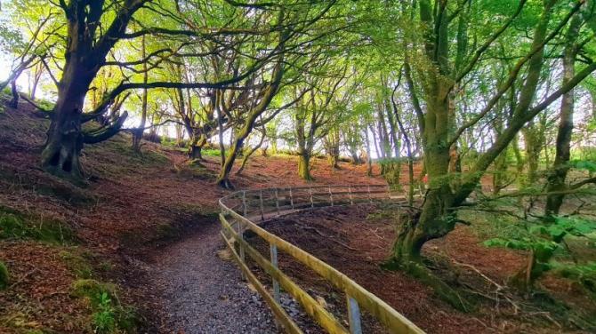 Life in lockdown captured in new calendar from Drumquin Women's Group