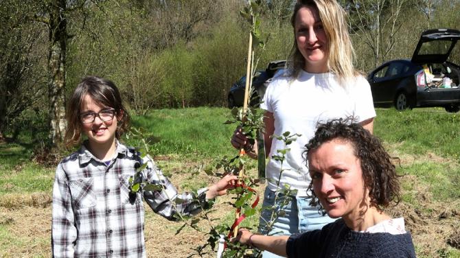 Tree-planting for the future at Baronscourt Estate