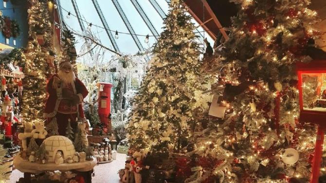 Christmas isn't Christmas without a trip to Kenwells