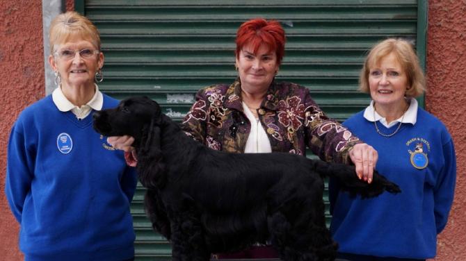 Cocker Spaniel wins 'Best in Show' at Omagh Canine Club annual dog show