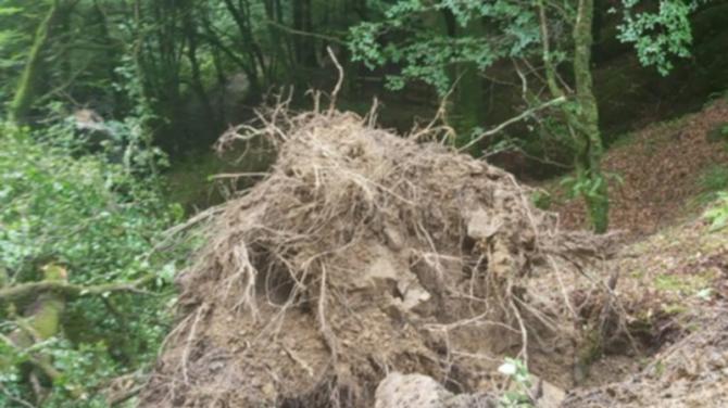 Paths at local beauty spot damaged by heavy rain