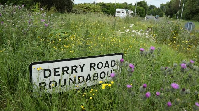 Roundabouts to remain overgrown until 'priority' verge cutting completed