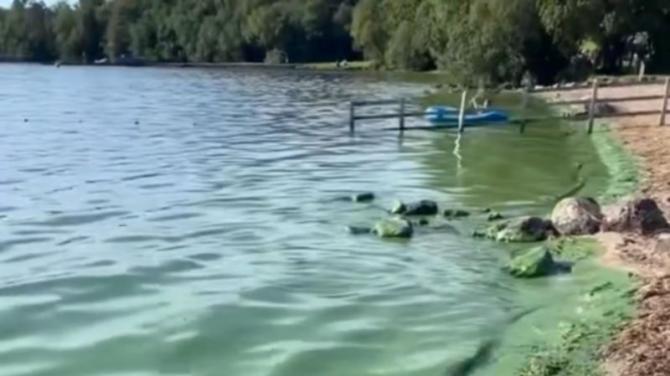Toxic blue green algae discovered at Kesh beauty spot